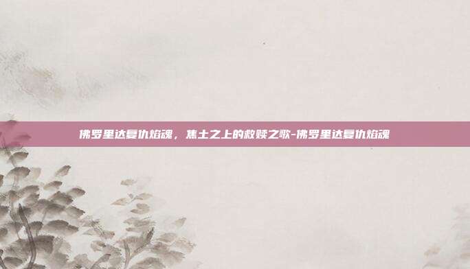 佛罗里达复仇焰魂,焦土之上的救赎之歌-佛罗里达复仇焰魂