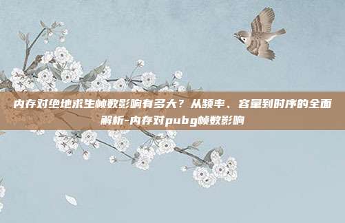 内存对绝地求生帧数影响有多大？从频率、容量到时序的全面解析-内存对pubg帧数影响
