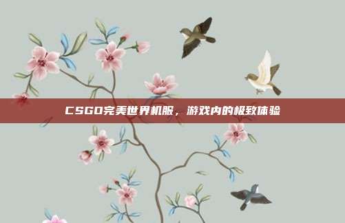 CSGO完美世界机服,游戏内的极致体验
