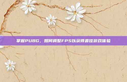 掌握PUBG,如何调整FPS以获得最佳游戏体验