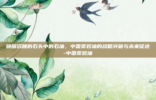 唤醒沉睡的石头中的石油，中国页岩油的战略突破与未来征途-中国页岩油