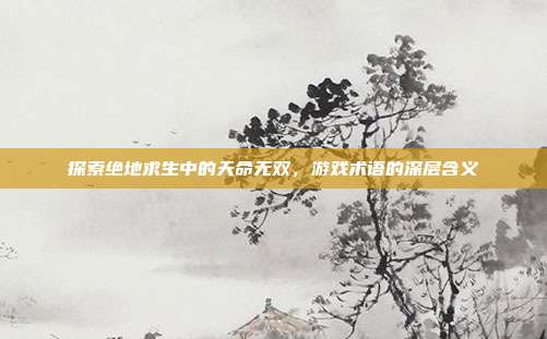 探索绝地求生中的天命无双，游戏术语的深层含义