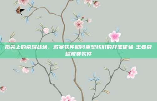 指尖上的荣耀战场，微赛软件如何重塑我们的开黑体验-王者荣耀微赛软件