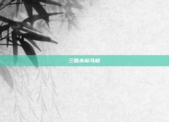 三国杀标马超