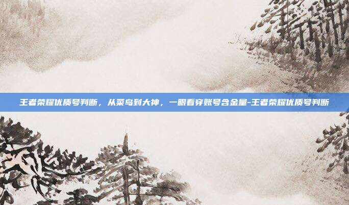 王者荣耀优质号判断,从菜鸟到大神,一眼看穿账号含金量-王者荣耀优质号判断