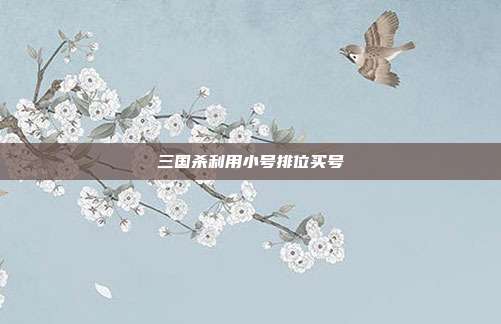 三国杀利用小号排位买号