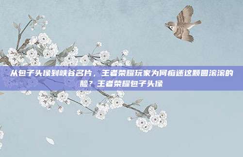 从包子头像到峡谷名片，王者荣耀玩家为何痴迷这颗圆滚滚的脸？王者荣耀包子头像