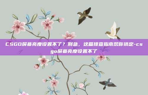 CSGO屏幕亮度设置不了?别急,这篇排查指南帮你搞定-csgo屏幕亮度设置不了