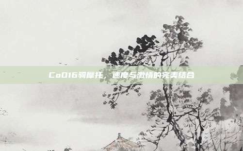 CoD16骑摩托,速度与激情的完美结合