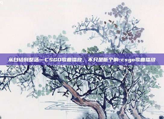从白给到整活—CSGO歌曲播放，不只是听个响-csgo歌曲播放
