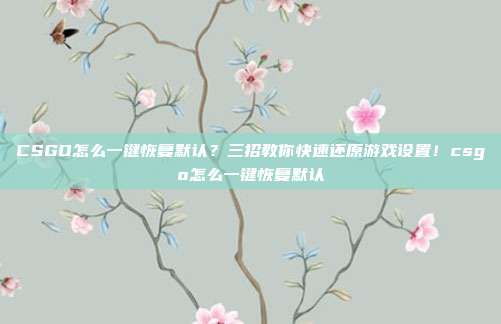 CSGO怎么一键恢复默认？三招教你快速还原游戏设置！csgo怎么一键恢复默认