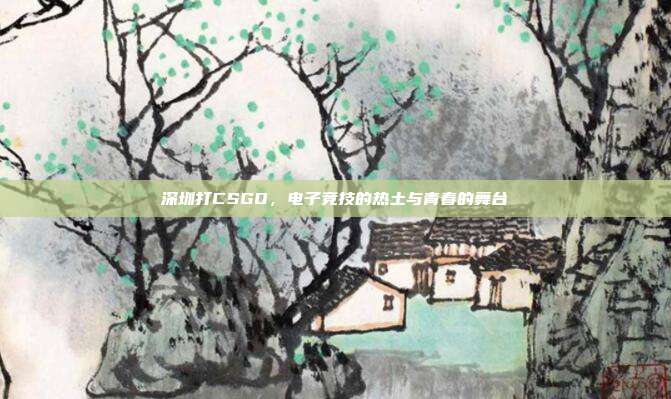 深圳打CSGO,电子竞技的热土与青春的舞台
