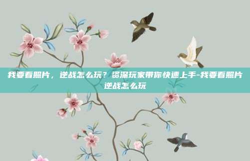 我要看照片,逆战怎么玩?资深玩家带你快速上手-我要看照片逆战怎么玩