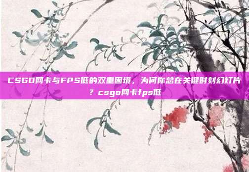 CSGO网卡与FPS低的双重困境,为何你总在关键时刻幻灯片?csgo网卡fps低