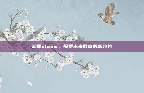 汕尾steam，探索未来教育的新趋势