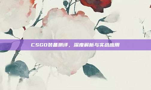 CSGO装备测评，深度解析与实战应用