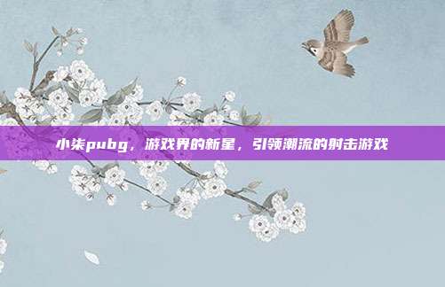 小柒pubg,游戏界的新星,引领潮流的射击游戏