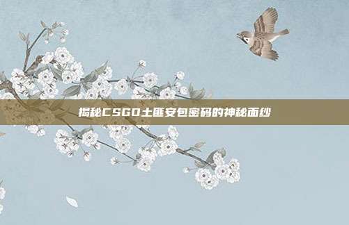 揭秘CSGO土匪安包密码的神秘面纱