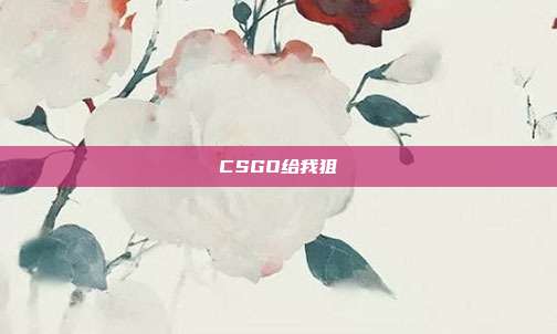 CSGO给我狙