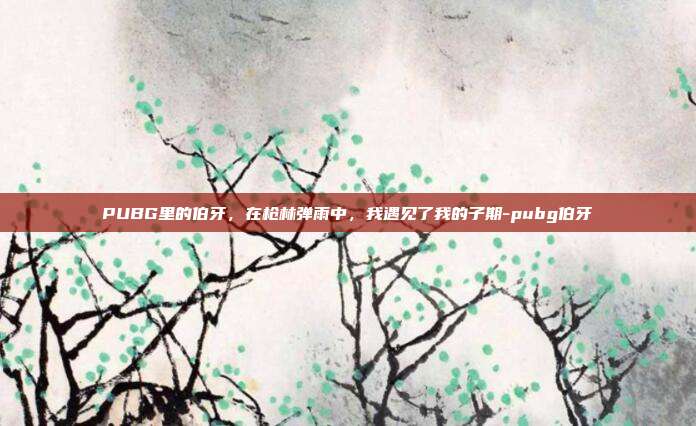 PUBG里的伯牙,在枪林弹雨中,我遇见了我的子期-pubg伯牙