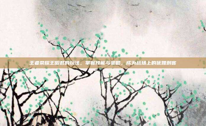 王者荣耀王昭君的玩法,掌握技能与策略,成为战场上的优雅刺客