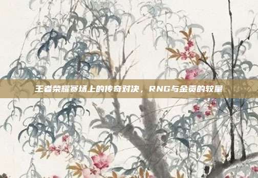 王者荣耀赛场上的传奇对决,RNG与金贡的较量