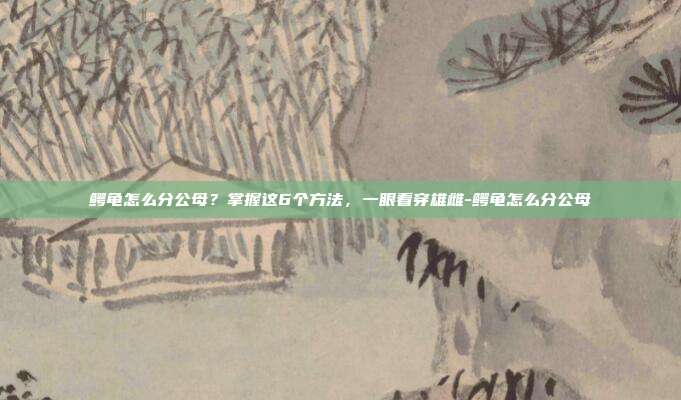 鳄龟怎么分公母?掌握这6个方法,一眼看穿雄雌-鳄龟怎么分公母