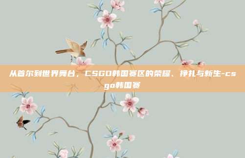 从首尔到世界舞台，CSGO韩国赛区的荣耀、挣扎与新生-csgo韩国赛