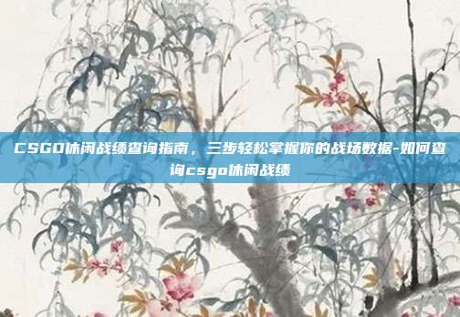 CSGO休闲战绩查询指南，三步轻松掌握你的战场数据-如何查询csgo休闲战绩