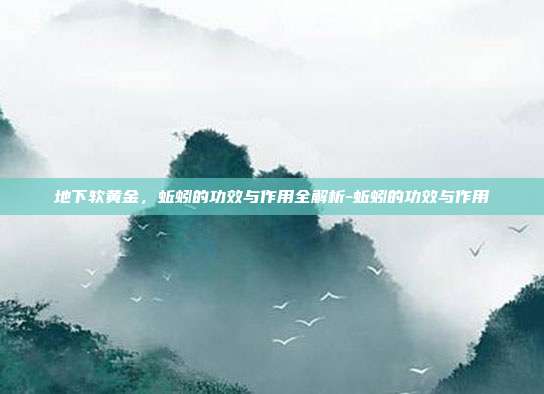 地下软黄金,蚯蚓的功效与作用全解析-蚯蚓的功效与作用