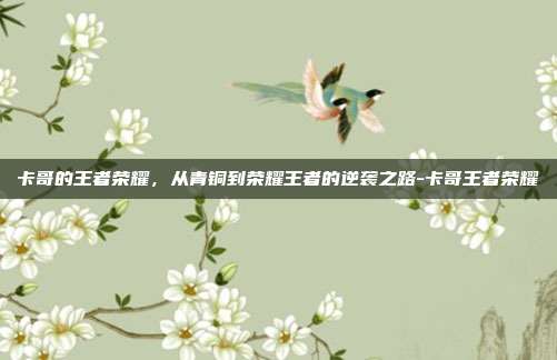 卡哥的王者荣耀，从青铜到荣耀王者的逆袭之路-卡哥王者荣耀
