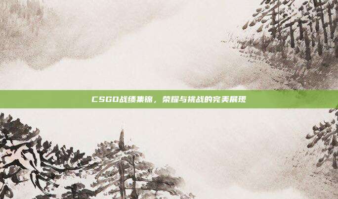 CSGO战绩集锦,荣耀与挑战的完美展现