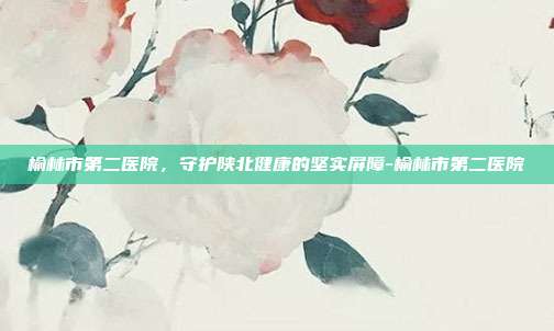 榆林市第二医院，守护陕北健康的坚实屏障-榆林市第二医院