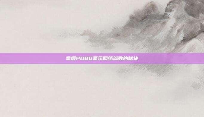 掌握PUBG显示网络参数的秘诀