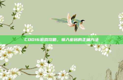 COD16游戏攻略,输入密码的正确方法