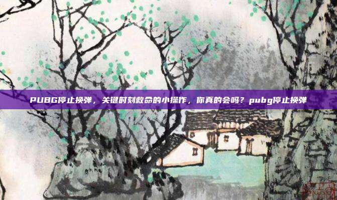 PUBG停止换弹,关键时刻救命的小操作,你真的会吗?pubg停止换弹