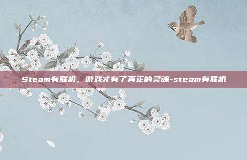 Steam有联机，游戏才有了真正的灵魂-steam有联机