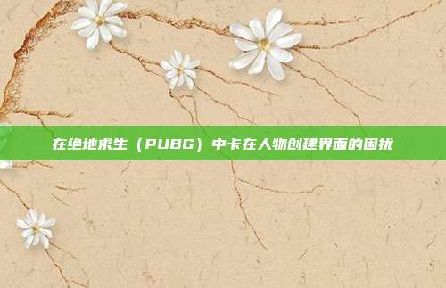 在绝地求生(PUBG)中卡在人物创建界面的困扰