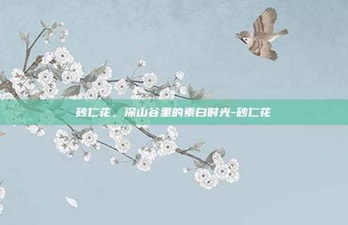 砂仁花,深山谷里的素白时光-砂仁花