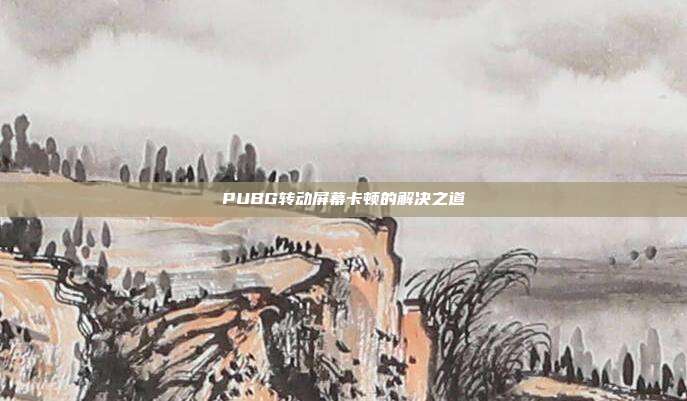 PUBG转动屏幕卡顿的解决之道