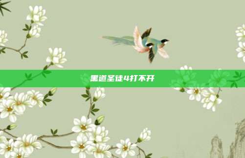 黑道圣徒4打不开