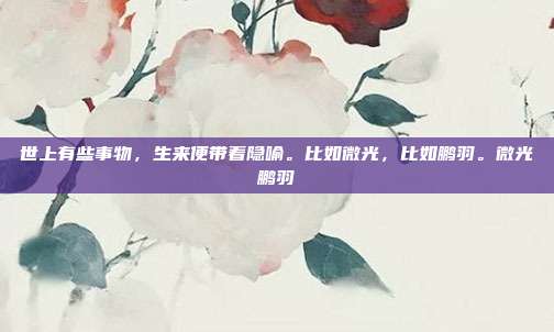 世上有些事物,生来便带着隐喻。比如微光,比如鹏羽。微光鹏羽