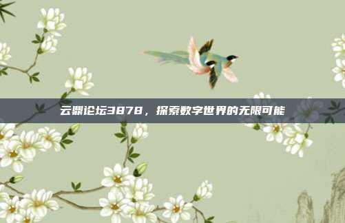 云鼎论坛3878,探索数字世界的无限可能