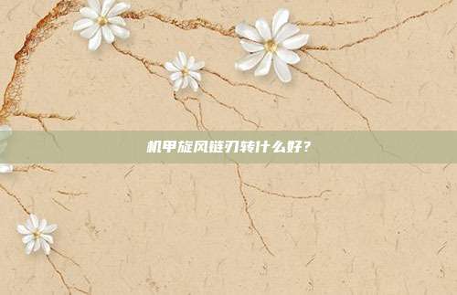 机甲旋风链刃转什么好？