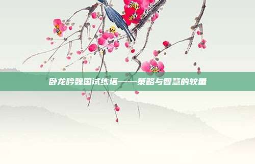 卧龙吟魏国试练塔——策略与智慧的较量