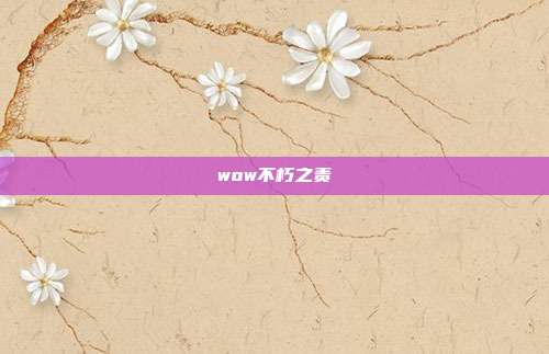wow不朽之责