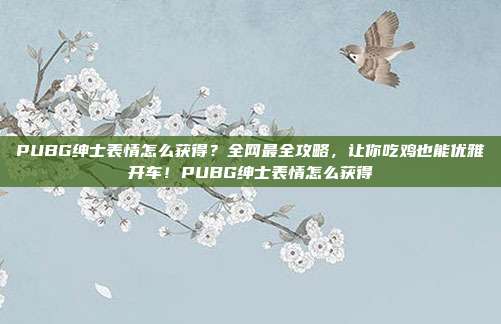 PUBG绅士表情怎么获得?全网最全攻略,让你吃鸡也能优雅开车!PUBG绅士表情怎么获得