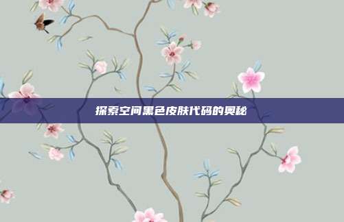探索空间黑色皮肤代码的奥秘
