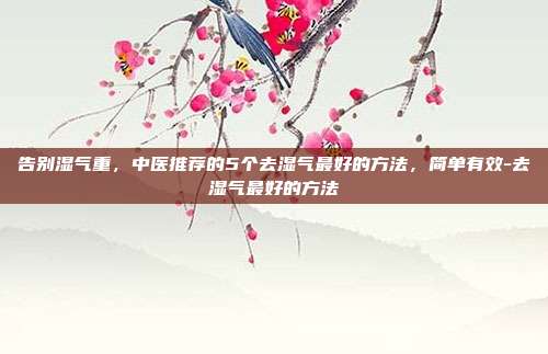 告别湿气重，中医推荐的5个去湿气最好的方法，简单有效-去湿气最好的方法