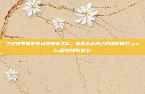 绝地求生职业赛场的神来之笔,那些永不褪色的精彩时刻-pubg职业精彩时刻